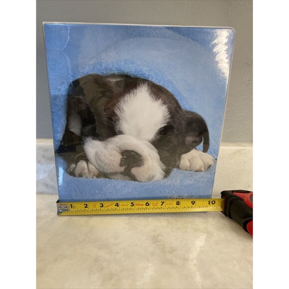 Class Act Keith Kimberlin  Binder- Boxer Puppies - Picture 7 of 8